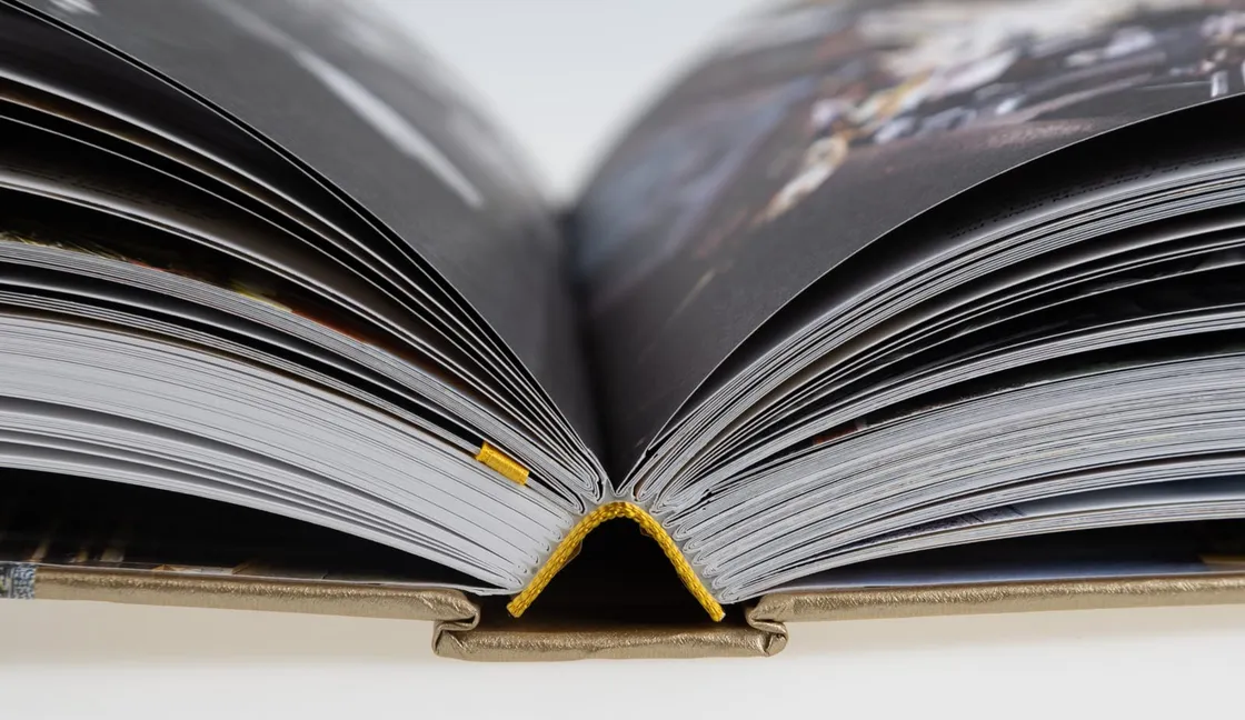 Dos d'un livre rigide cousu avec tranchefile