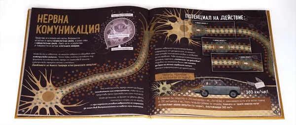 Double page illustrée d'un livre jeunesse
